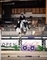 Amanda Derbyshire jumps to a Grand Prix win in Tryon with the evergreen Cornwall